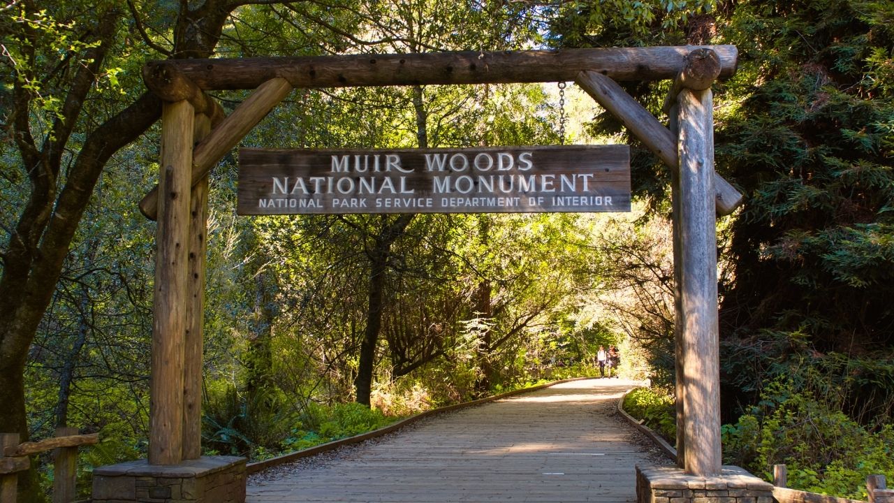 muir woods national monument entrance